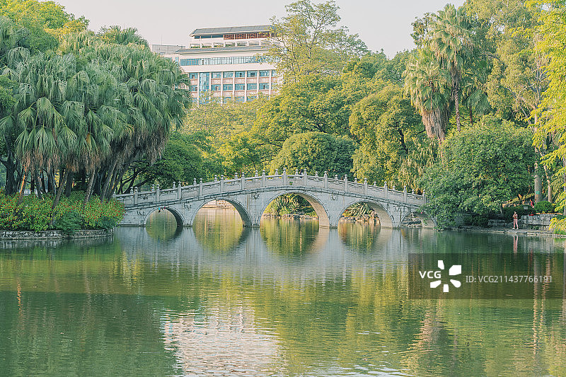 柳州柳侯公园，绿树间的水上石拱桥图片素材