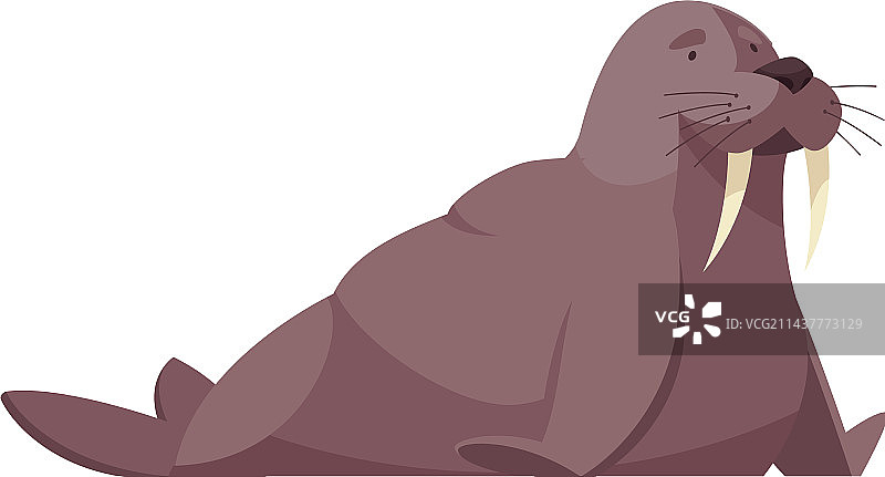 扁平风海象图片素材