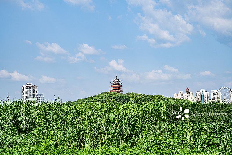 中国株洲城市绿地生态风光图片素材