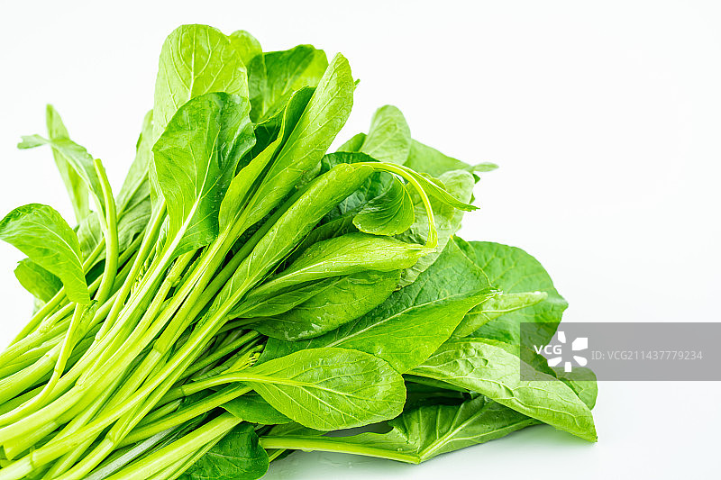白背景上一把新鲜有机蔬菜小白菜嫩苗图片素材