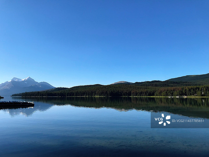 加拿大贾斯佩国家森林公园图片素材