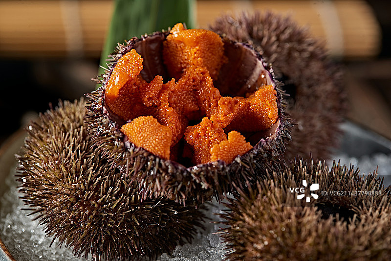 日料生鲜海胆刺身图片素材