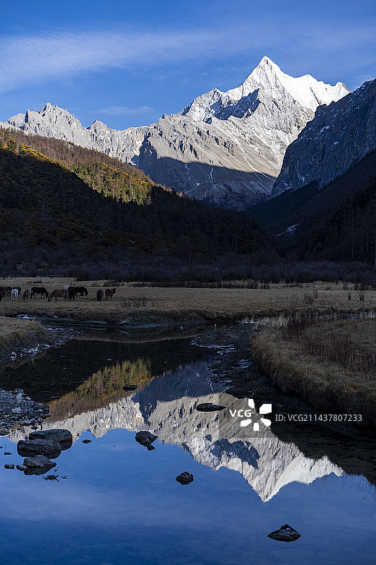 亚丁-冲古草甸图片素材