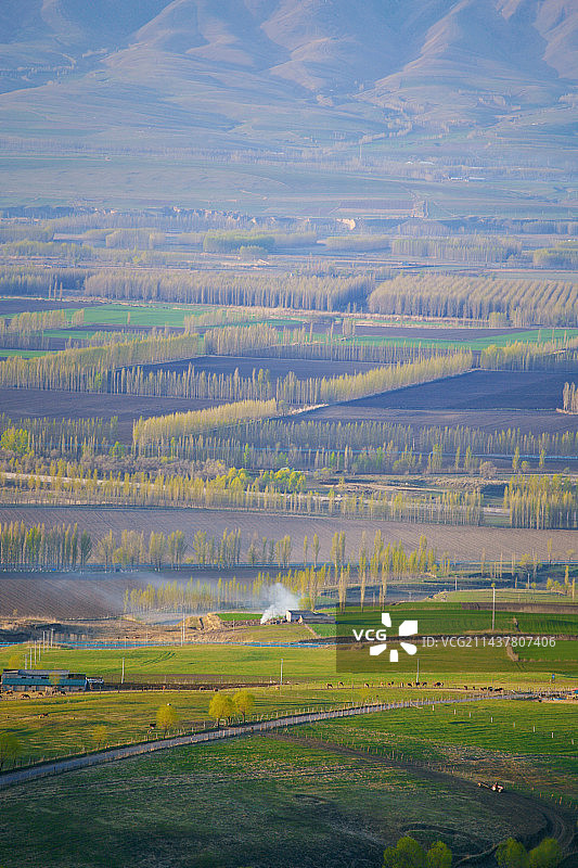 吐尔根杏花沟图片素材