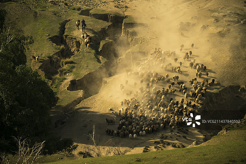 新疆牧民转场图片素材