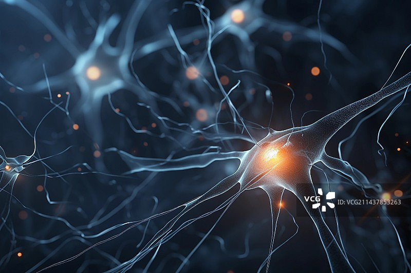 神经元神经突触图片素材