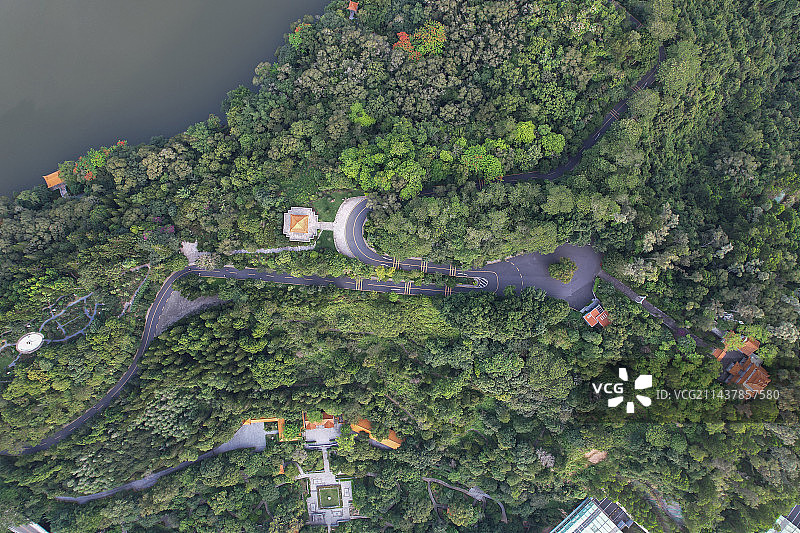 深圳仙湖植物园航拍图片素材