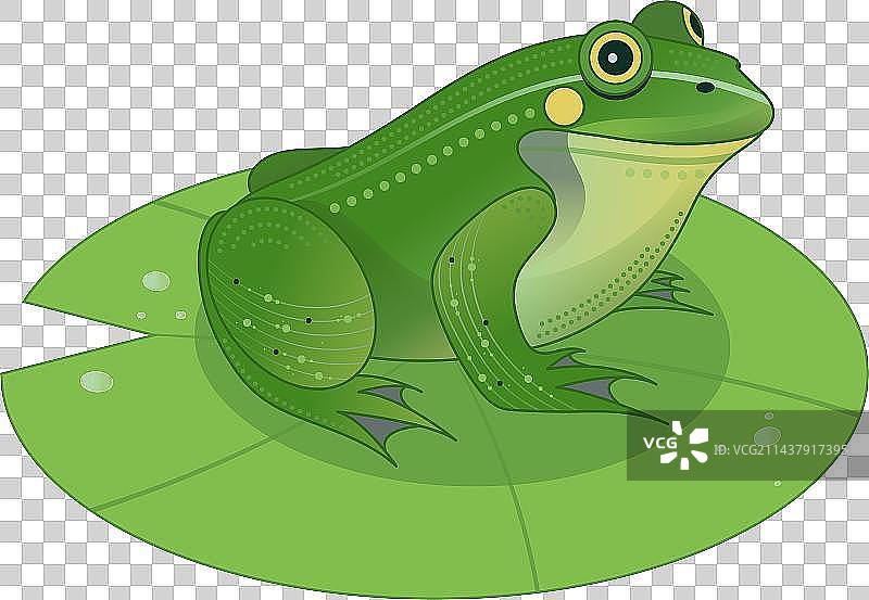 荷叶上的青蛙线条风矢量元素图片素材