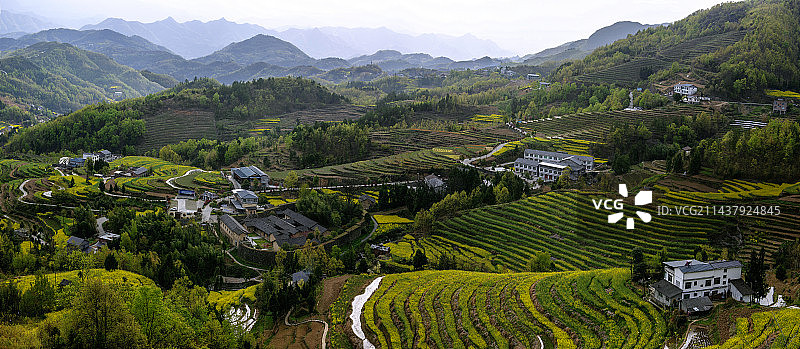 汉阴凤堰古梯田油菜花盛开时节全貌图图片素材