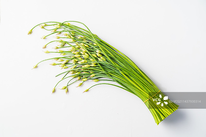 单色背景下的新鲜韭菜苔图片素材