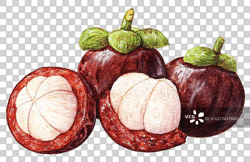 手绘新鲜水果系列山竹口味小清新免抠素材图片素材