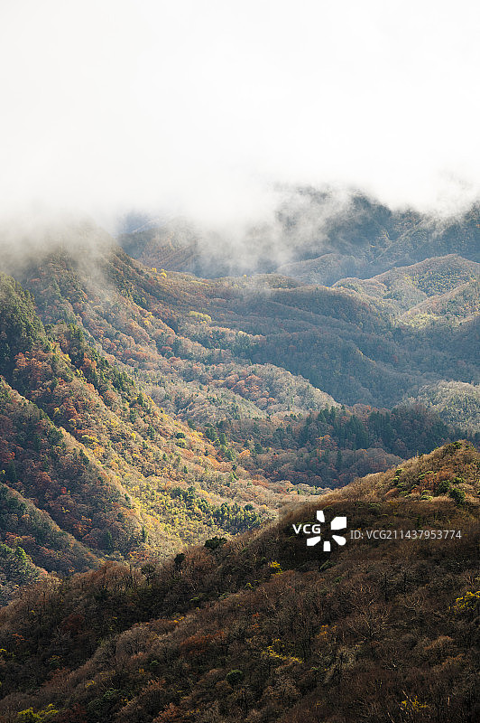 光雾山秋景图片素材