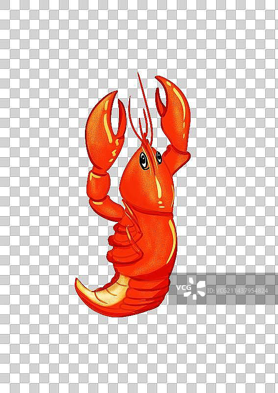 小龙虾插画png图片素材