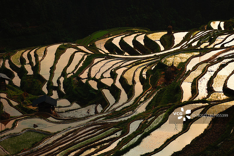 注了水的梯田，一片流光溢彩图片素材
