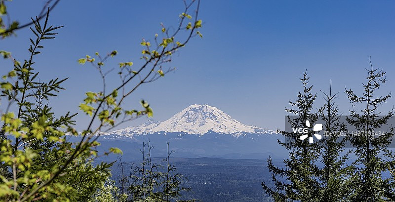 雷尼尔雪山图片素材