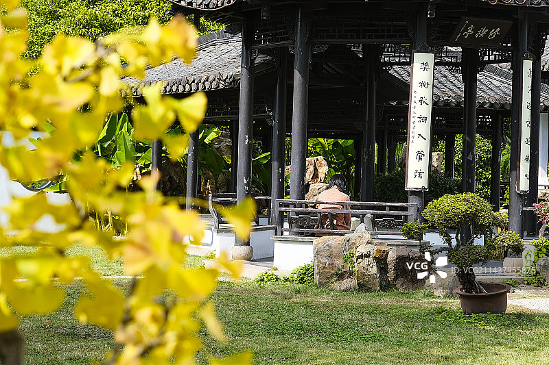 江苏省扬州市瘦西湖景区秋天美景图片素材