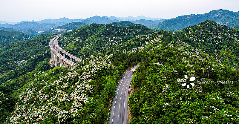 美丽公路，花儿绽放图片素材