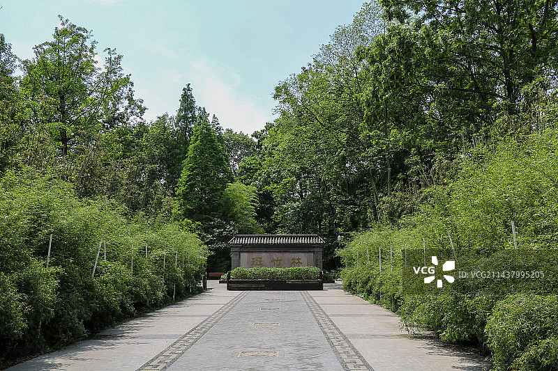 成都市新津区斑竹林夏天风景图片素材