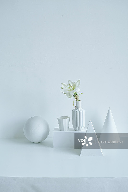 亮调花卉摄影图片素材