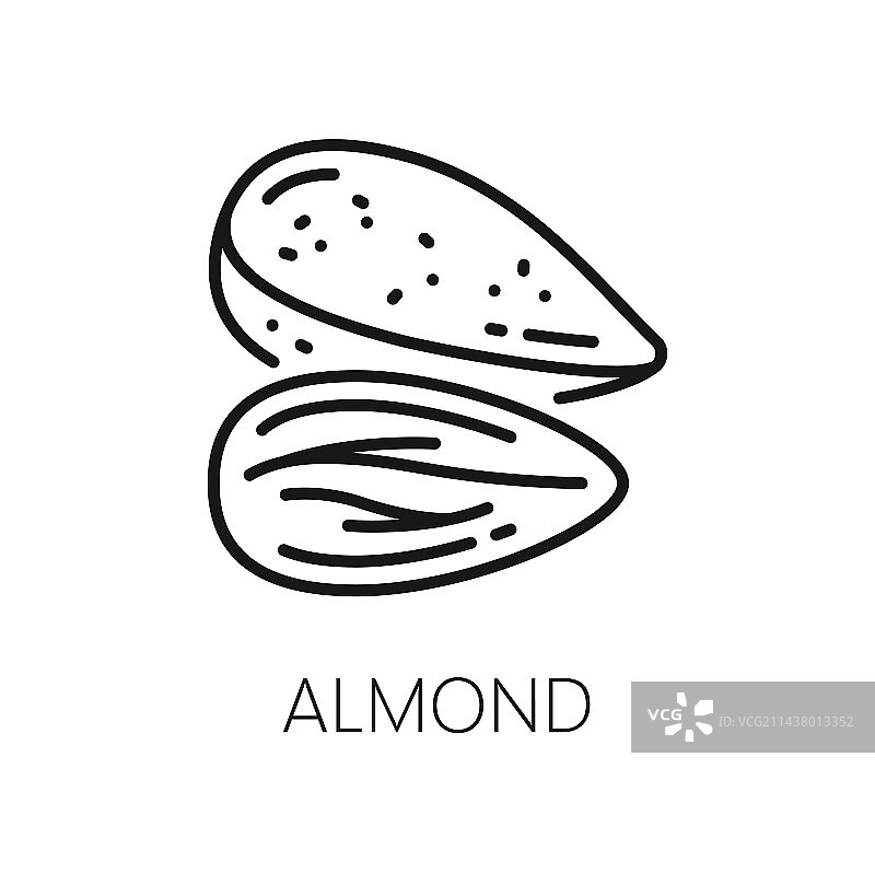 可食用杏仁图片素材