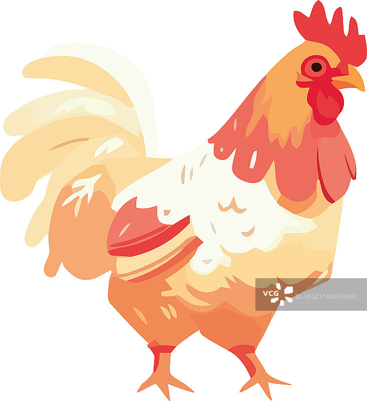 彩色小鸡图片素材