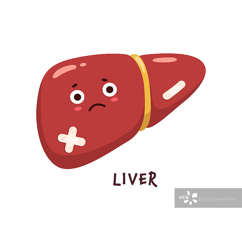 生病的肝脏器官受伤不健康图片素材