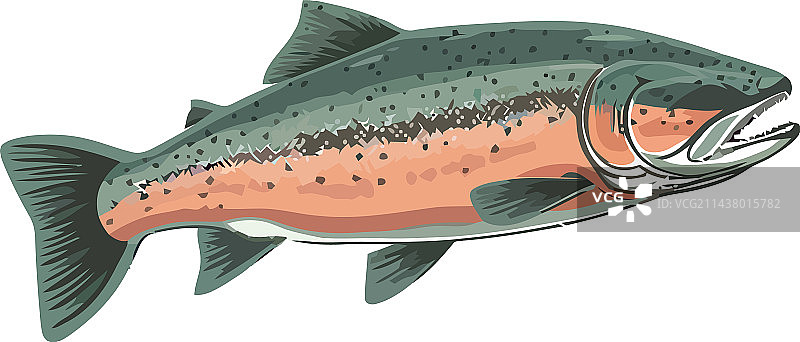 水下鱼类图片素材