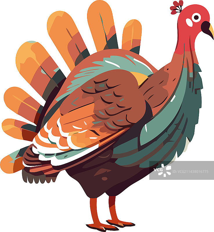 彩色孔雀设计图片素材