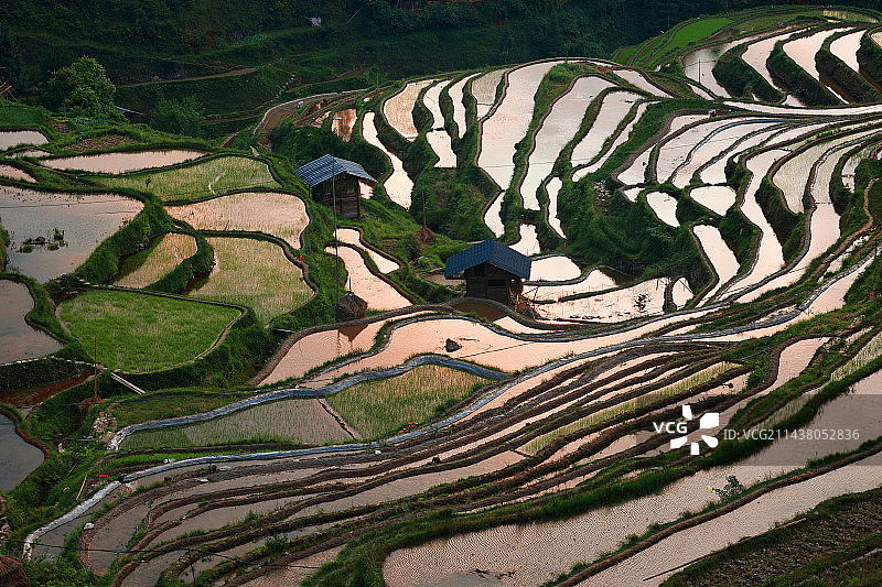 注了水的梯田，一片流光溢彩图片素材