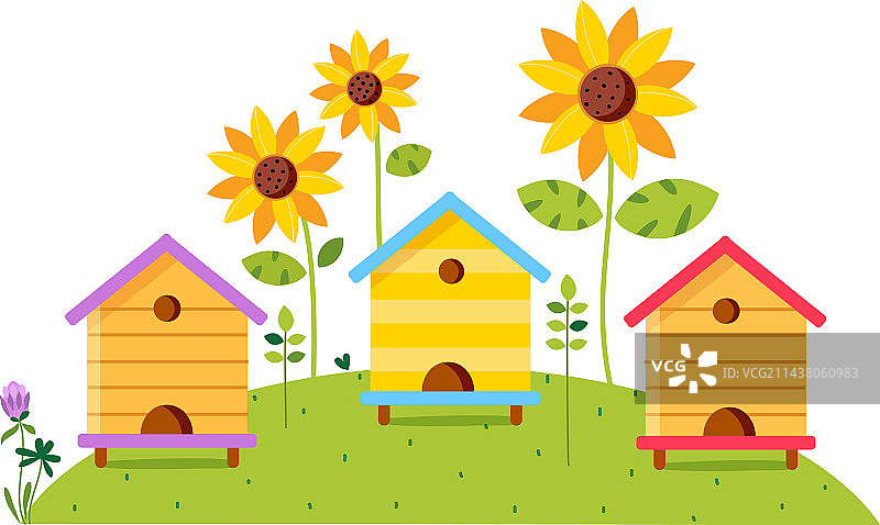 美丽夏日风景中的木制蜂箱图片素材