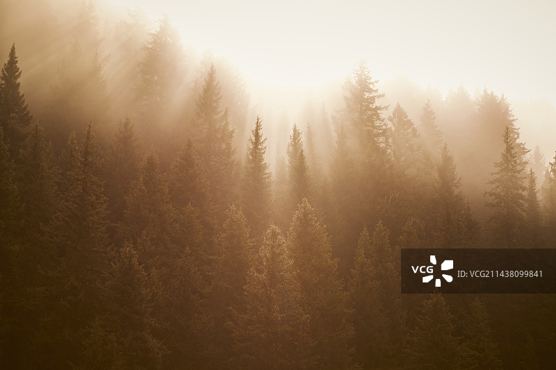 川西牟尼沟图片素材