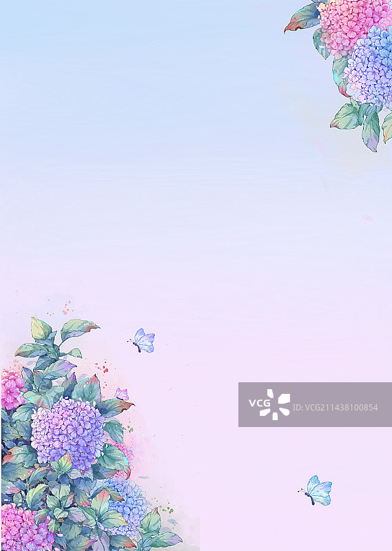 绣球花图片素材