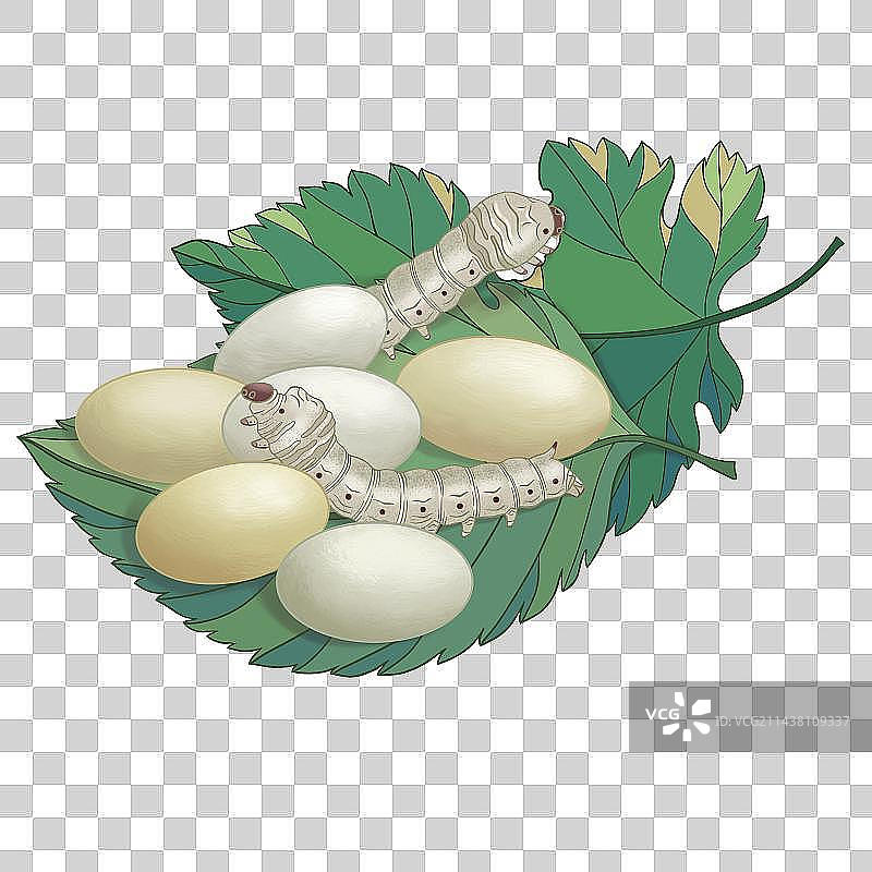 春蚕结茧桑叶免抠元素图片素材