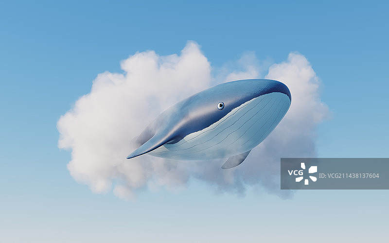 卡通风格鲸鱼3D渲染图片素材