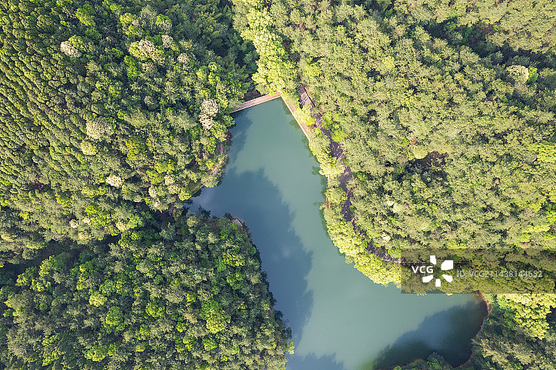 重庆北碚缙云山黛湖图片素材