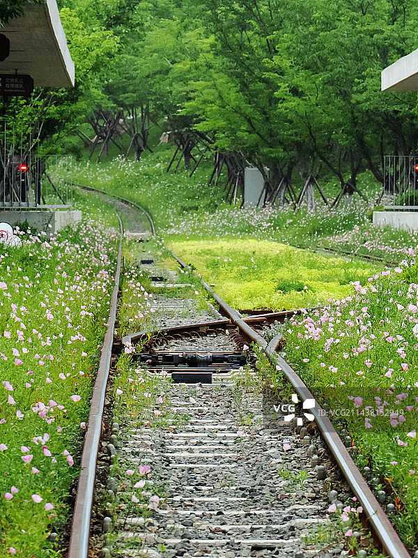 跟着铁路去远方图片素材