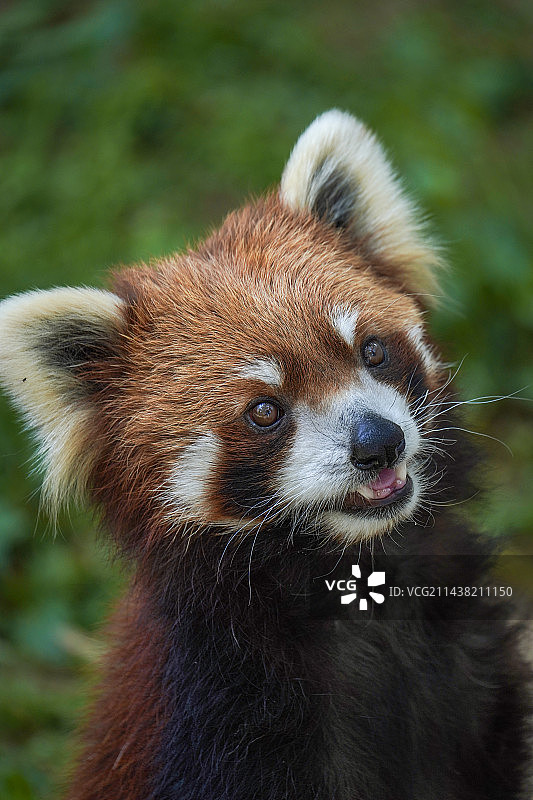 小朋友图片素材