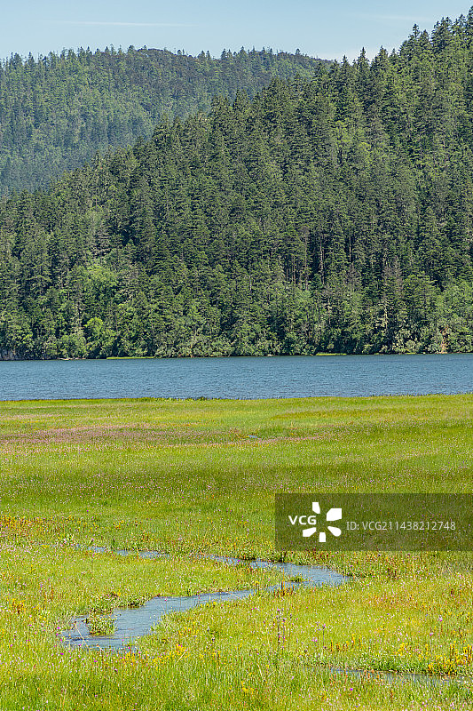 普达措国家公园碧塔海图片素材
