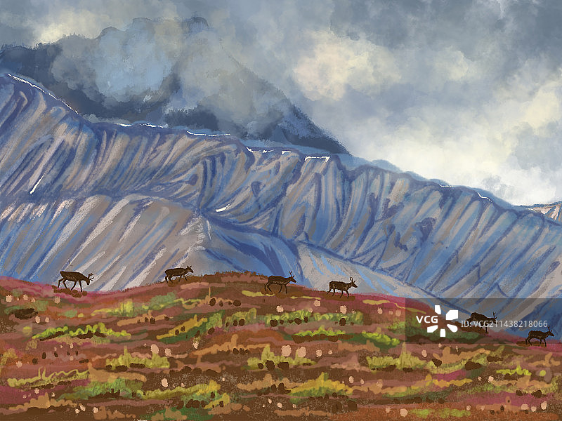 手绘风景插画自然地理旅行天空草原山脉藏羚羊图片素材