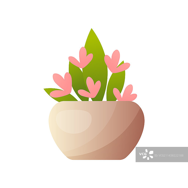 长叶粉花的盆栽植物图片素材