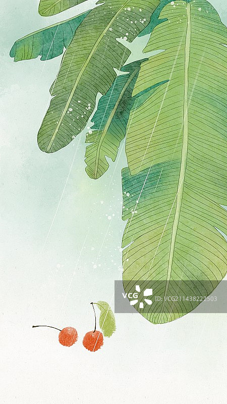 手绘国风插画雨打芭蕉图片素材