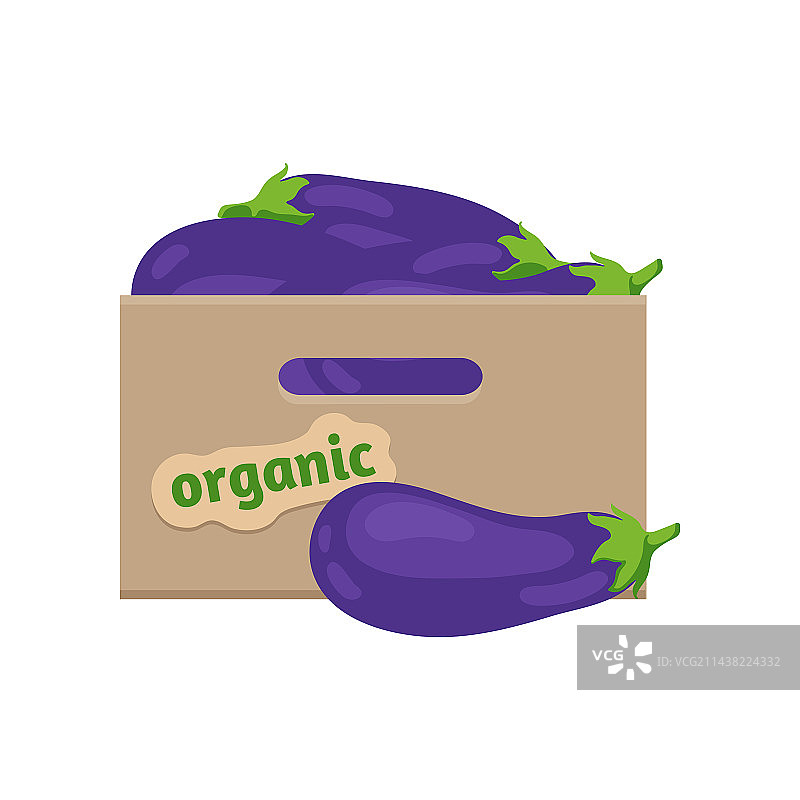 木箱里的茄子图片素材