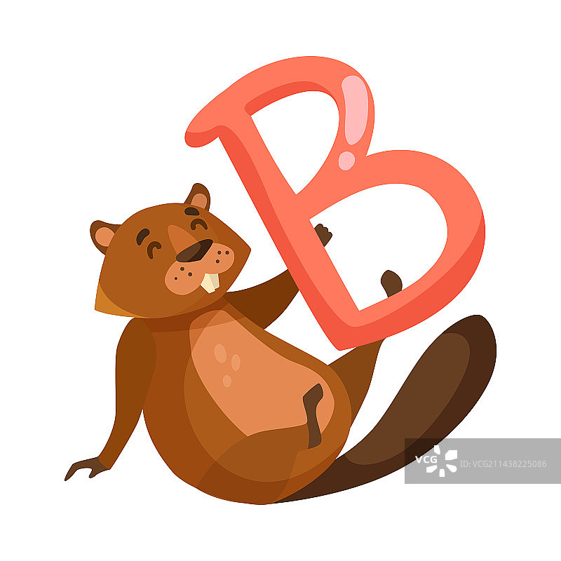 海狸字符与字母b图片素材