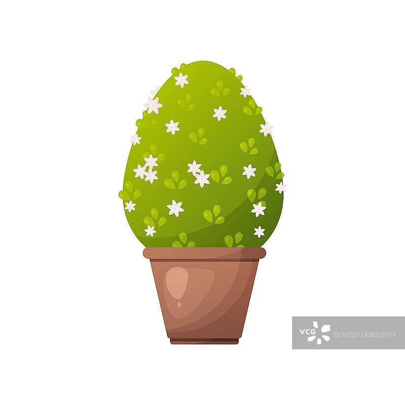 粉色花朵盆栽灌木图片素材