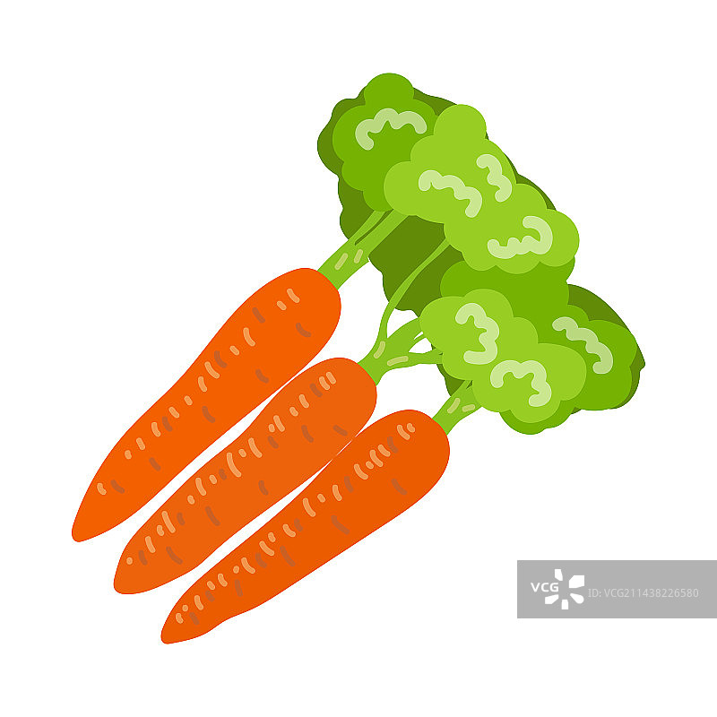富含维生素A的胡萝卜卡通图片素材