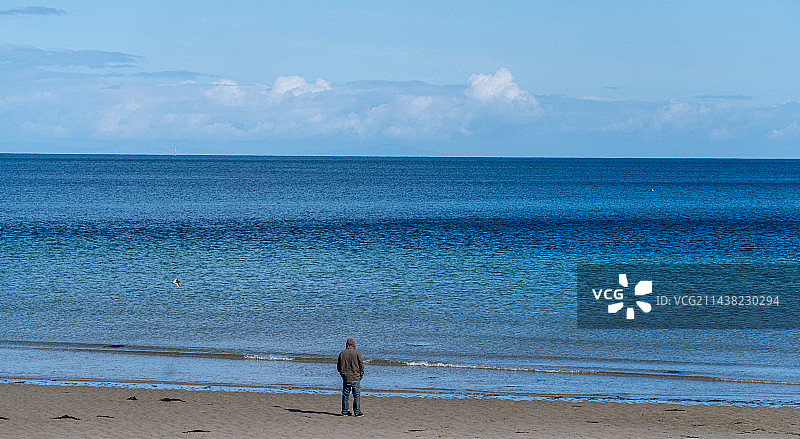 站在海滩上的人的后视图图片素材
