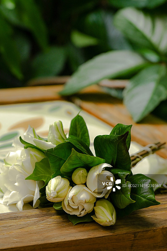 桌子上的栀子花特写镜头图片素材