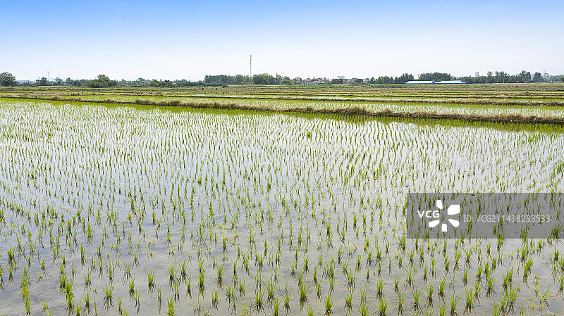 庐江春耕图片素材