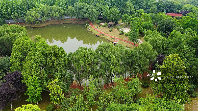 悠然南山图片素材