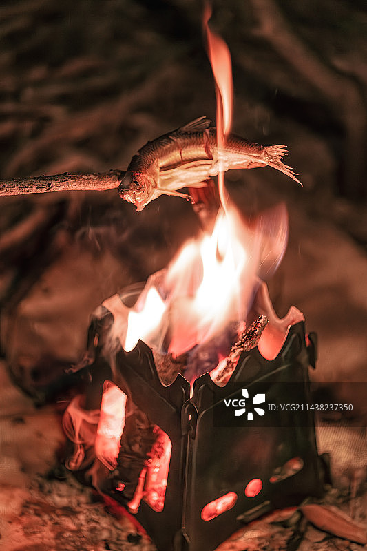 夜间营火烤鱼特写图片素材